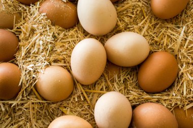 Organik taze çiftlik yumurtaları piyasada