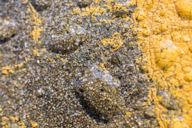 Yakın çekim kaplı arka plan withl su damlaları