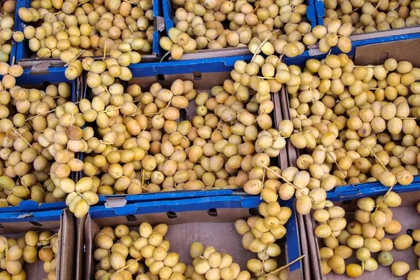 Montón de fechas secas en un mercado — Foto de Stock