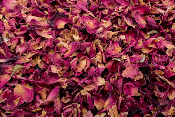 Рассеянные свежие лепестки роз на земле
