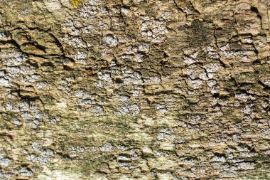 Beton doku soyut grunge arka plan olarak