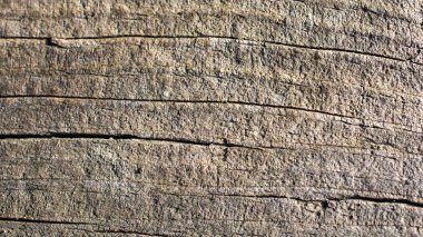 Doğal desenli ahşap doku