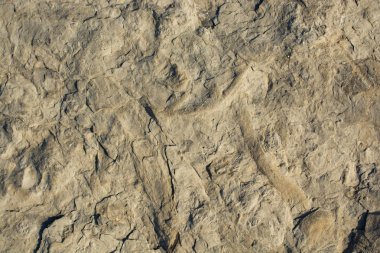 Arkaplan dokusu olarak kaya ya da taş yüzeyi 