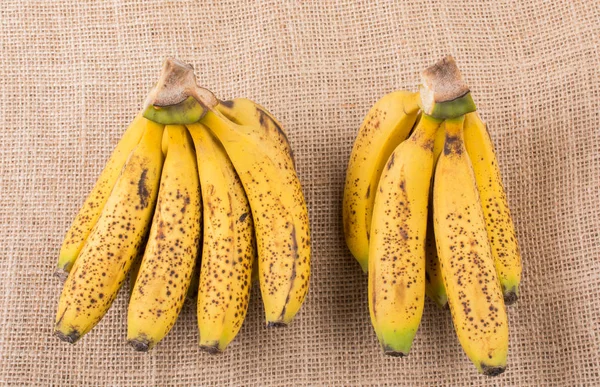노란 주 근 깨 바나나의 무리 — 스톡 사진