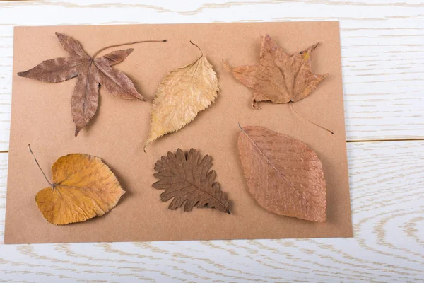 Hojas secas de otoño sobre una textura de panel de madera — Foto de Stock