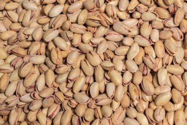 Fıstık kabuğu yemeye hazır