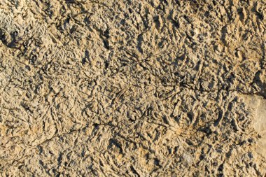 Arkaplan dokusu olarak kaya ya da taş yüzeyi 