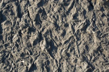 Arkaplan dokusu olarak kaya ya da taş yüzeyi 