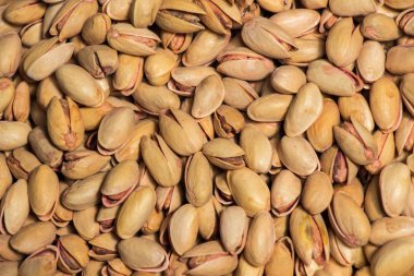 Fıstık kabuğu yemeye hazır