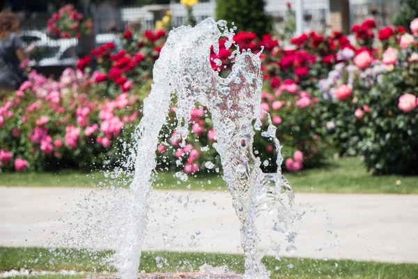 Wasser sprudelt aus dem Brunnen im Garten — Stockfoto