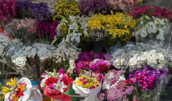 Hermosas flores de varios tipos — Foto de Stock