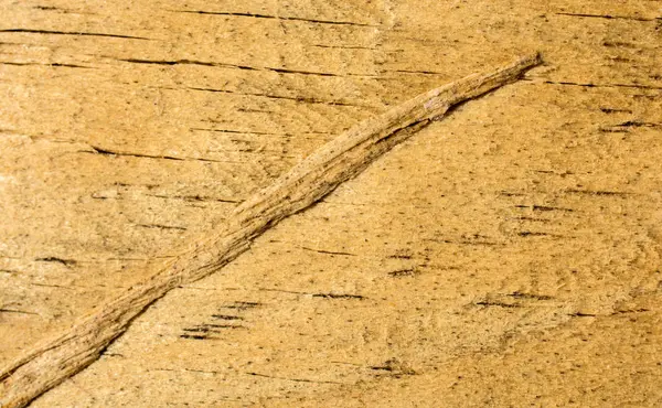 Дерев'яна текстура з натуральними візерунками — стокове фото