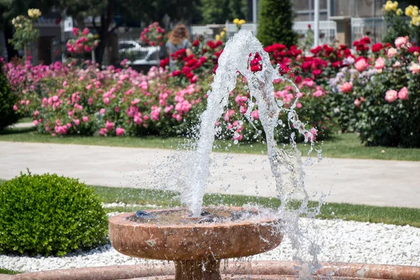 Vatten forsande av fontänen i trädgården — Stockfoto