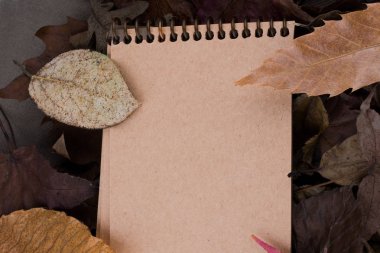 düşen sonbahar yaprakları ile boş Not defterini açın 