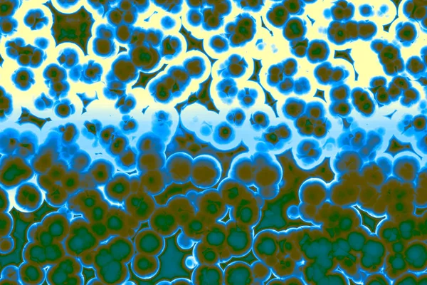 Форма бактеріальної клітини: коки, бактерії, бактерії спіралі — стокове фото