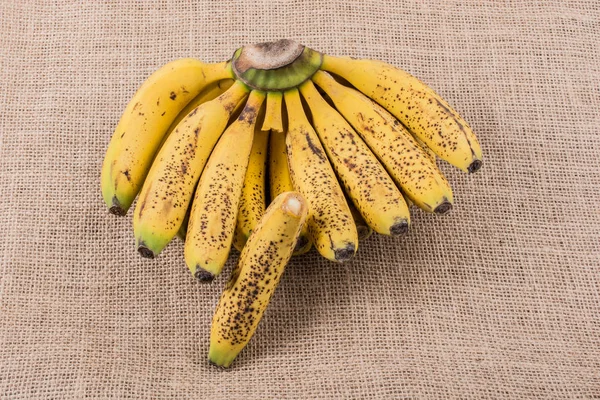 Stelletje gele sproeterig bananen — Stockfoto