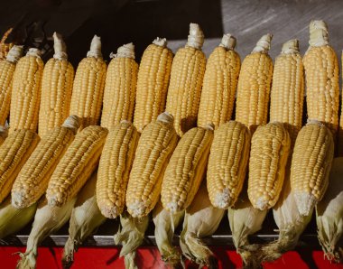 Sonbahar hasadından sonra bir sürü organik kabuklu mısır..