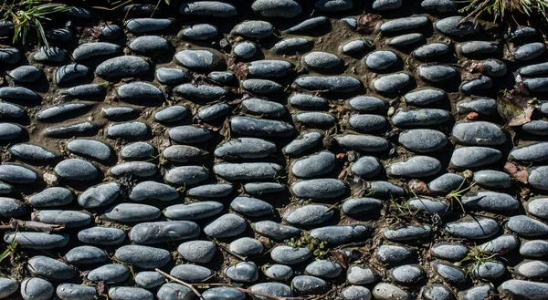 Textura pozadí málo oblázky kameny — Stock fotografie