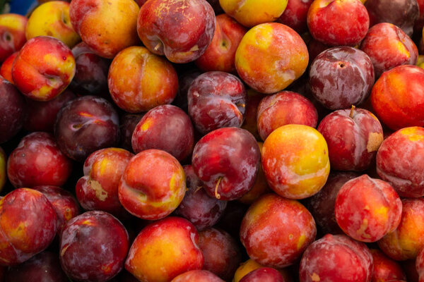 Текстура фона из свежих синих слив как фруктовое изображение
 