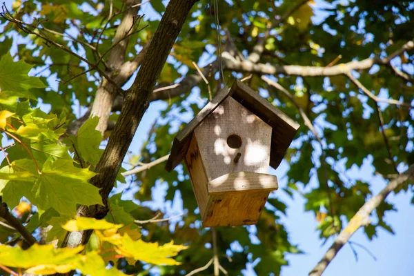 Aves caseras de madera colgando de un árbol — Foto de Stock