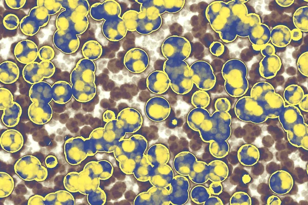 Forme des cellules bactériennes : coques, bacilles, bactéries spirilleuses — Photo