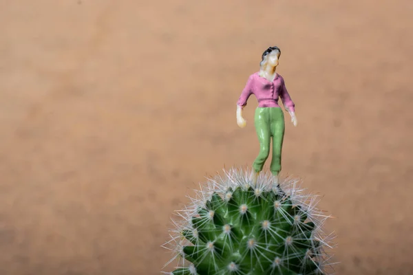 Figurine femme minuscule debout sur une plante sur cactus — Photo