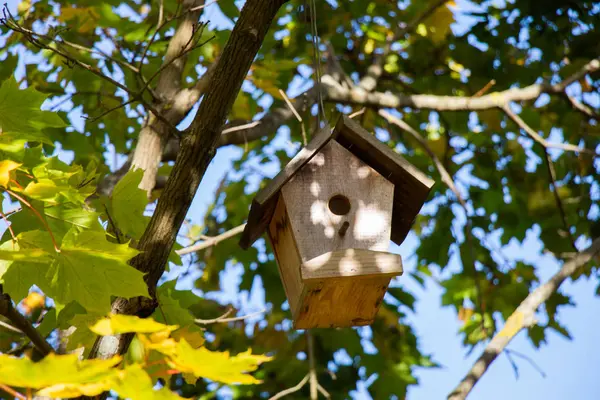 Aves caseras de madera colgando de un árbol — Foto de Stock