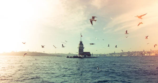 Gaviotas alrededor de la Torre de las Doncellas en Estambul — Foto de Stock