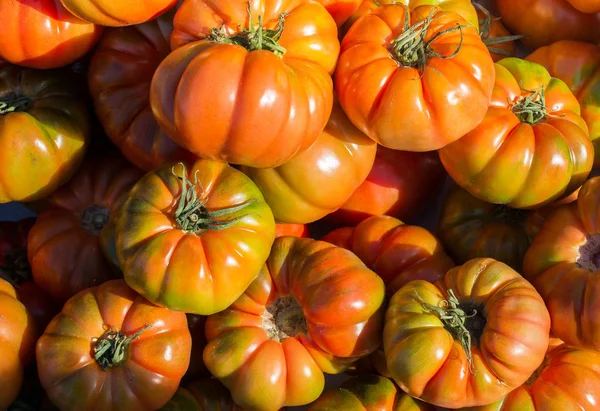 Leckere frische Tomaten im Blick — Stockfoto