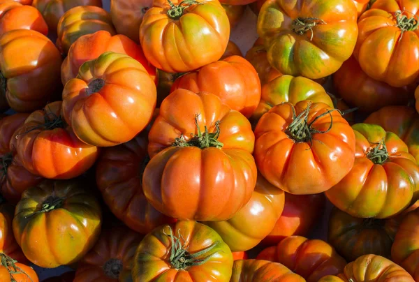 Saborosos tomates frescos em vista — Fotografia de Stock