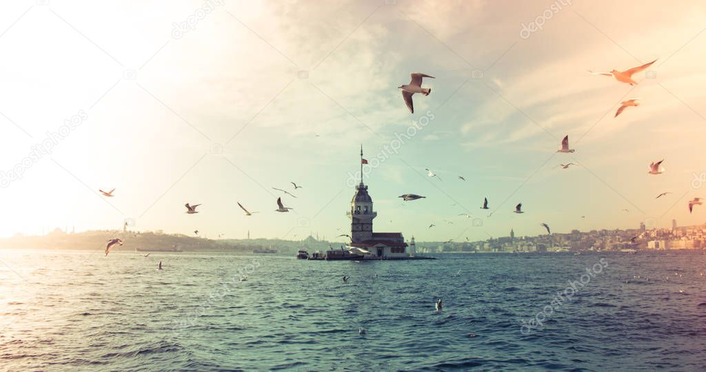 Seagulls around the Maidens Tower located in Istanbul