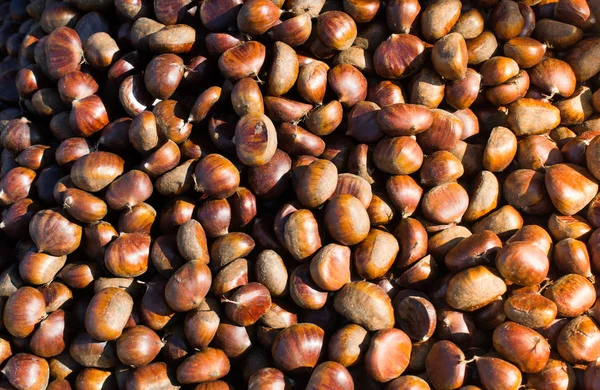 Centenas de castanhas descascadas em exposição — Fotografia de Stock