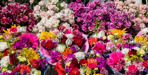 Квітучі красиві барвисті природні квіти на вигляд — стокове фото
