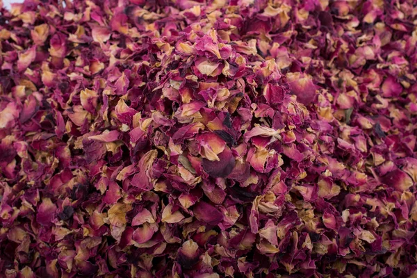 Background of dried  rose petals