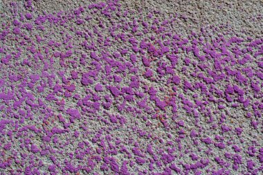 Eşit olmayan boyanmış yaratıcı duvar arkaplan dokusu 