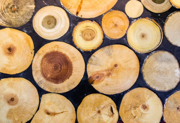 Madeira Log cortado em pedaços finos redondos — Fotografia de Stock