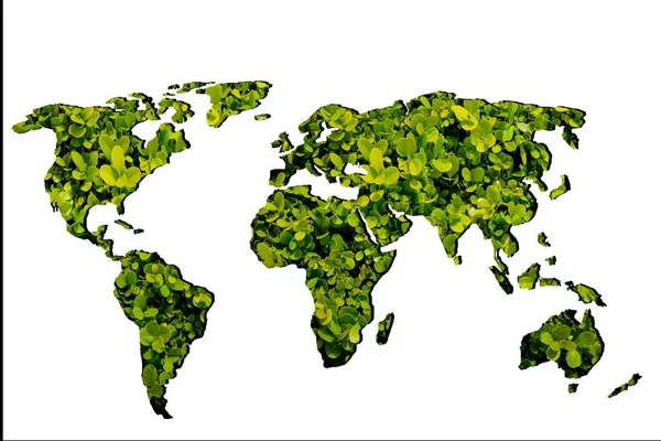 Mapa del mundo esbozado con plantas verdes llenando —  Fotos de Stock