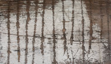 Grunge wood boards, planks patterns on weathered parquet backgro
