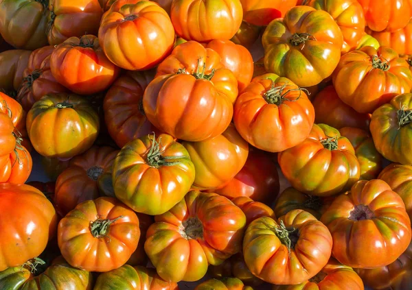 Leckere frische Tomaten im Blick — Stockfoto