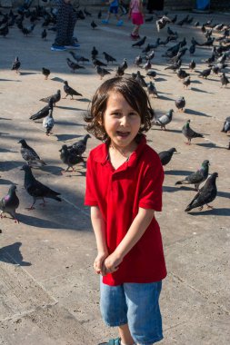 taş kaldırım üzerinde güvercinler yanında küçük çocuk