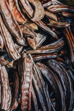 Manzarada yüzlerce kahverengi karabina