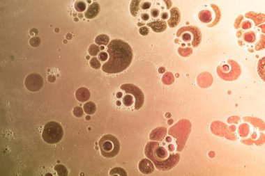 Renkli arka plan üzerinde su yağı emülsiyon makro çekim