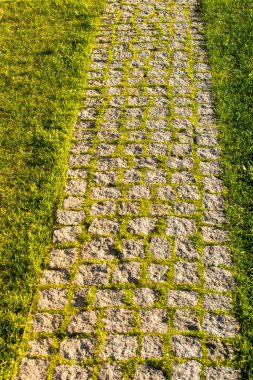 Parke taşı kaldırım arka plan dokusu