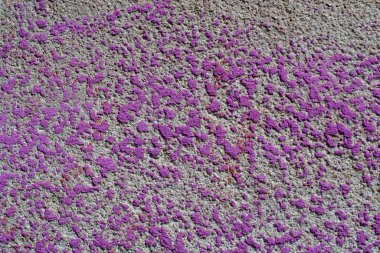 Eşit olmayan boyanmış yaratıcı duvar arkaplan dokusu 