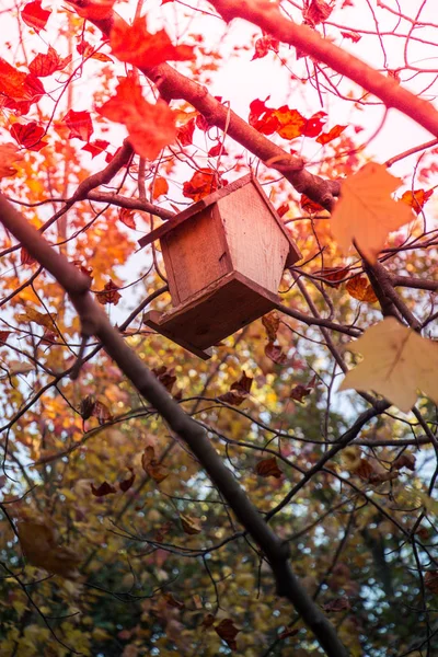 Aves caseras de madera colgando de un árbol — Foto de Stock