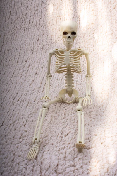 Modelo de esqueleto humano posando para ciência da anatomia médica — Fotografia de Stock