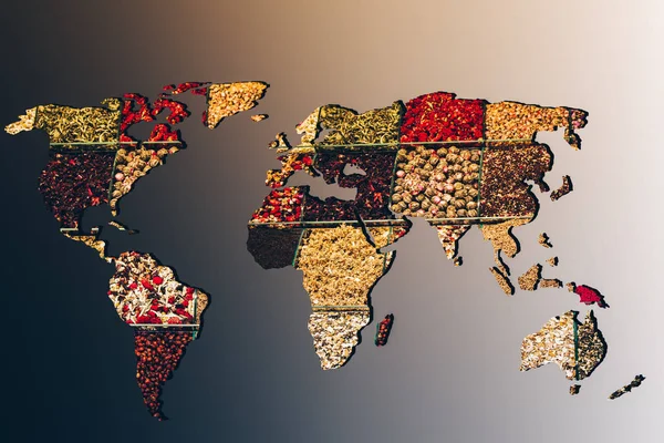 Mapa del mundo esbozado con veracidad de relleno de especias — Foto de Stock