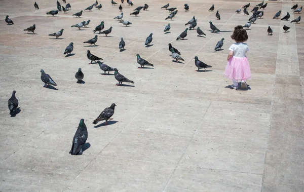 Niña en medio del hambriento rebaño de palomas alimentándose en el str — Foto de Stock