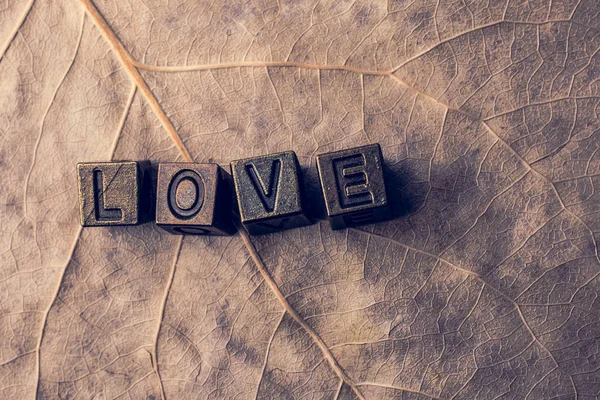Das Wort Liebe mit Metallbuchstaben auf trockenem Blatt — Stockfoto