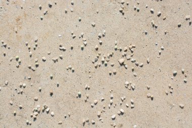 Kum gibi grunge arka plan dokulu